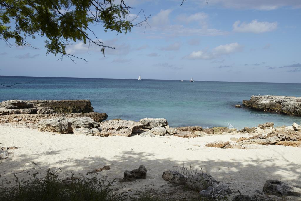 Villa Bougainvillea Aruba, The Tango Suite Palm Beach Exteriör bild