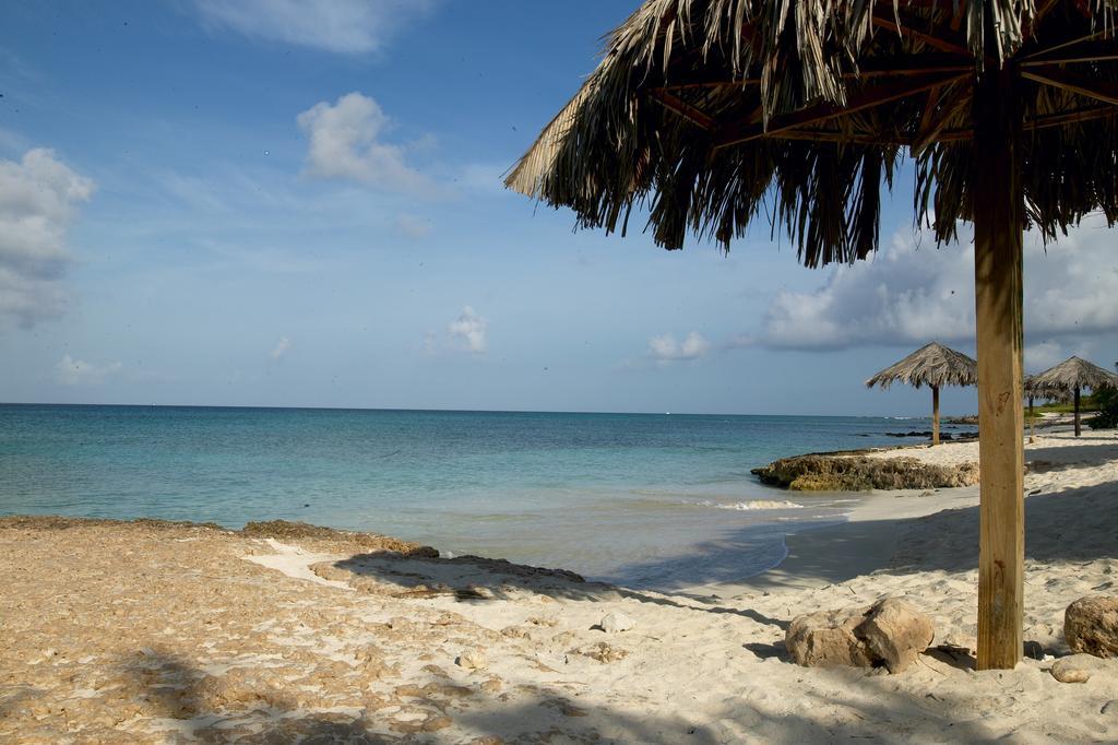Villa Bougainvillea Aruba, The Tango Suite Palm Beach Exteriör bild