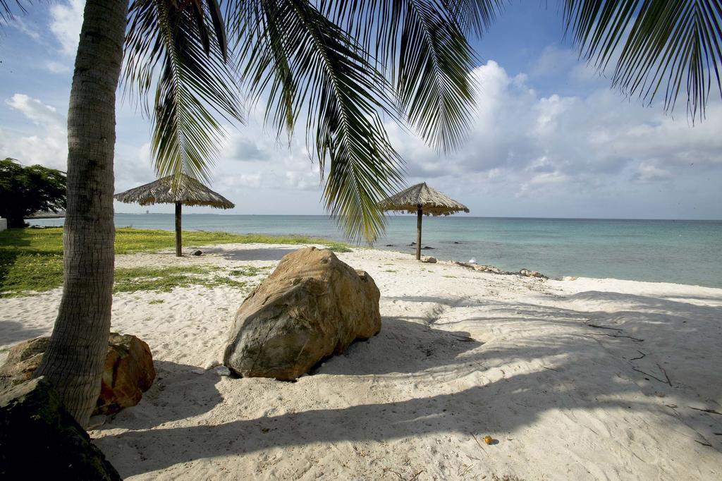 Villa Bougainvillea Aruba, The Tango Suite Palm Beach Exteriör bild